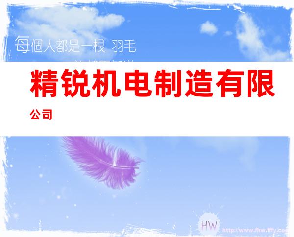 精锐机电制造有限公司
