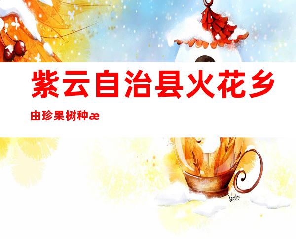 紫云自治县火花乡由珍果树种植基地