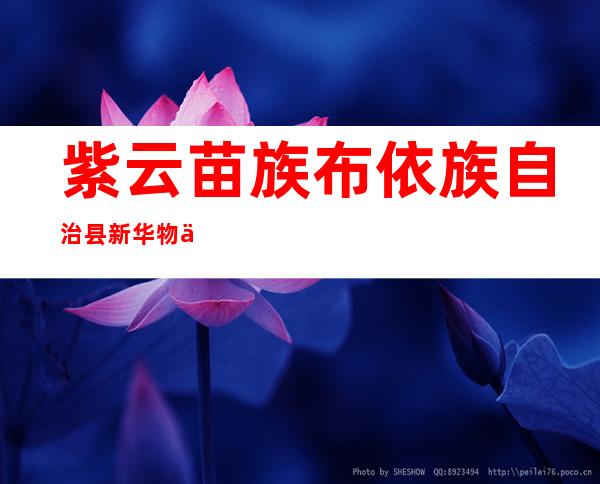 紫云苗族布依族自治县新华物业有限公司