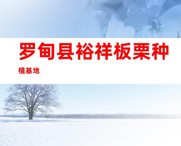 罗甸县裕祥板栗种植基地