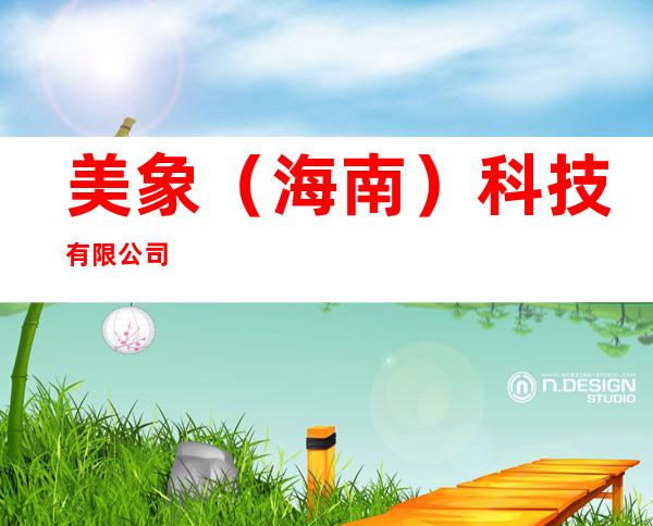美象（海南）科技有限公司