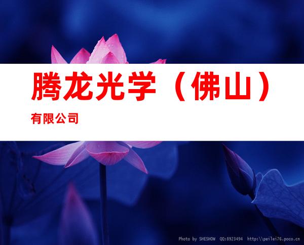 腾龙光学（佛山）有限公司
