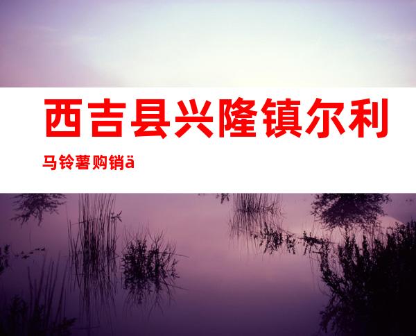 西吉县兴隆镇尔利马铃薯购销专业合作社