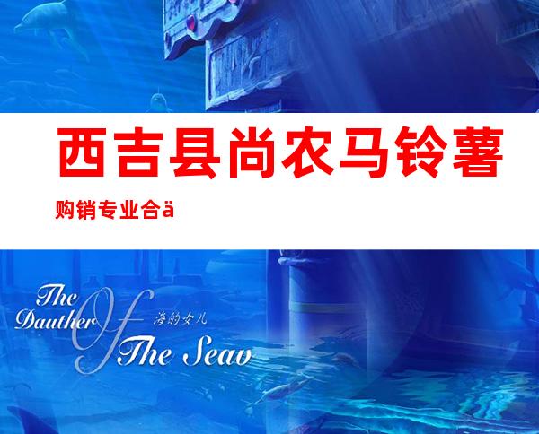 西吉县尚农马铃薯购销专业合作社