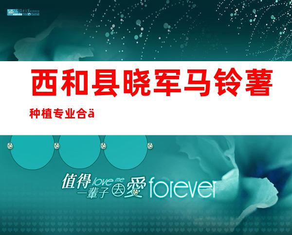 西和县晓军马铃薯种植专业合作社