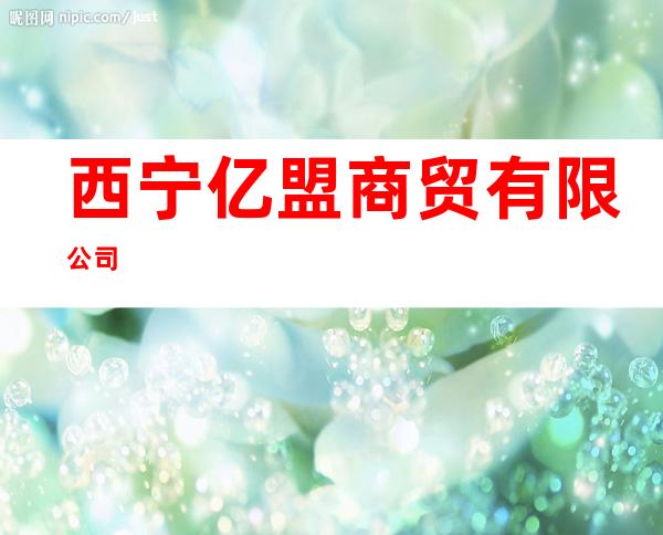 西宁亿盟商贸有限公司