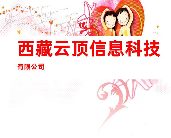 西藏云顶信息科技有限公司