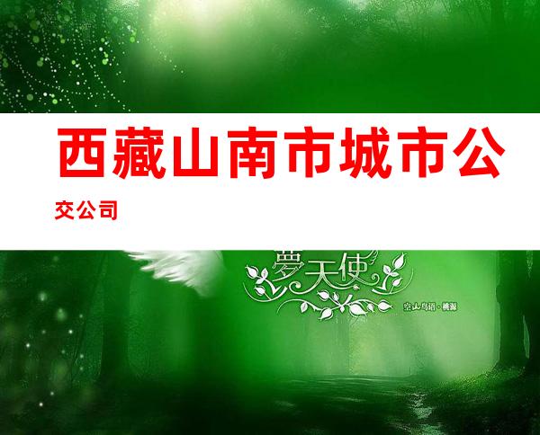 西藏山南市城市公交公司