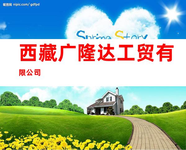 西藏广隆达工贸有限公司