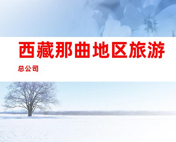西藏那曲地区旅游总公司
