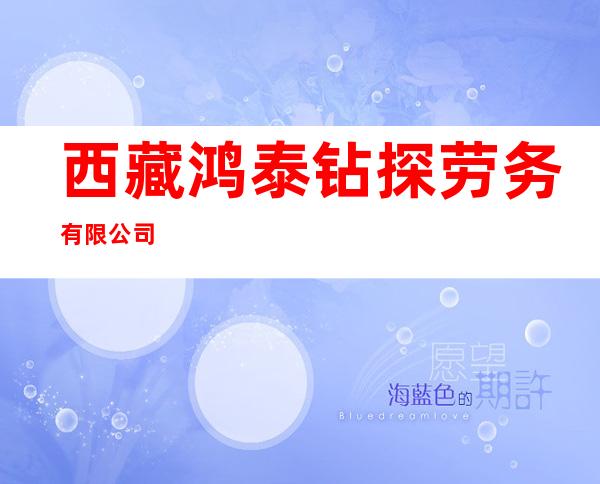 西藏鸿泰钻探劳务有限公司