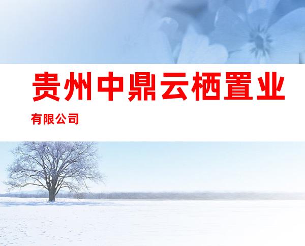 贵州中鼎云栖置业有限公司