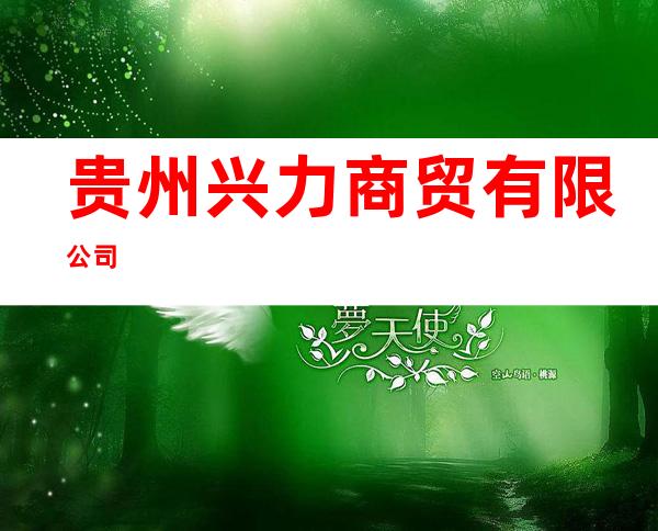 贵州兴力商贸有限公司