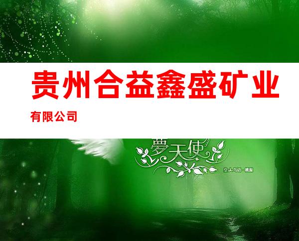 贵州合益鑫盛矿业有限公司