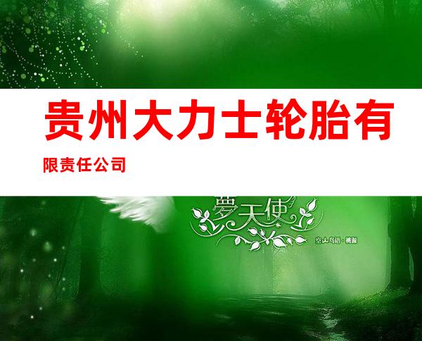 贵州大力士轮胎有限责任公司