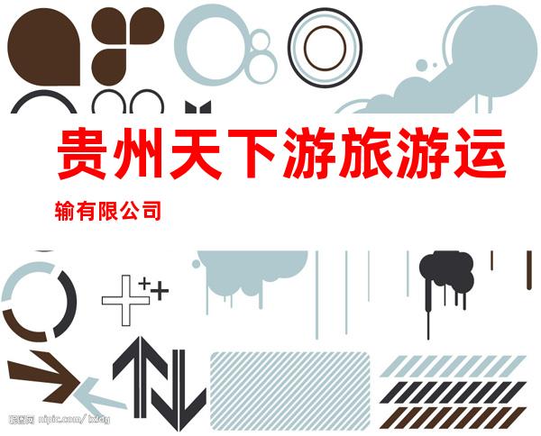 贵州天下游旅游运输有限公司