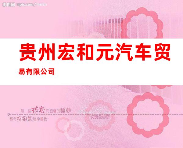 贵州宏和元汽车贸易有限公司