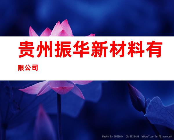 贵州振华新材料有限公司