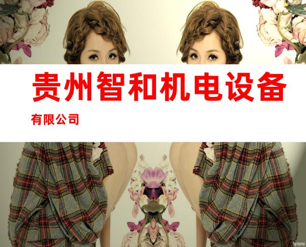 贵州智和机电设备有限公司