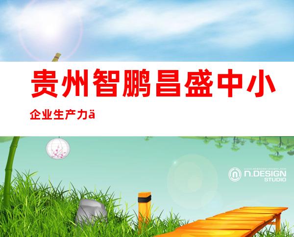 贵州智鹏昌盛中小企业生产力促进有限公司