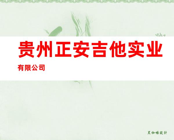 贵州正安吉他实业有限公司
