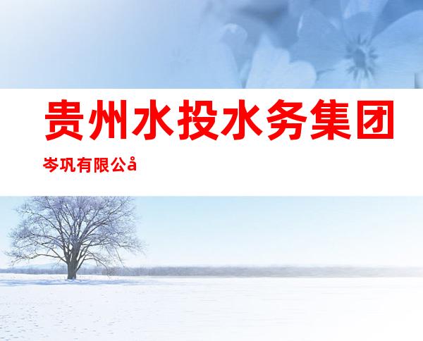 贵州水投水务集团岑巩有限公司