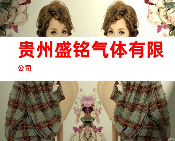 贵州盛铭气体有限公司
