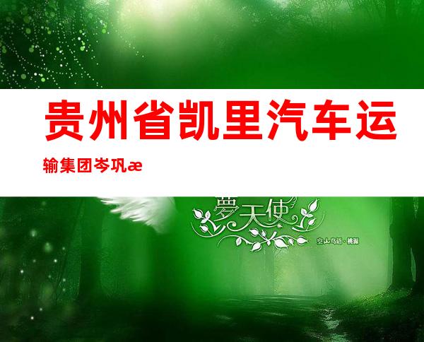 贵州省凯里汽车运输集团岑巩有限责任公司