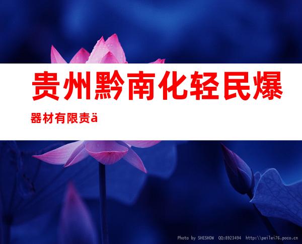 贵州黔南化轻民爆器材有限责任公司