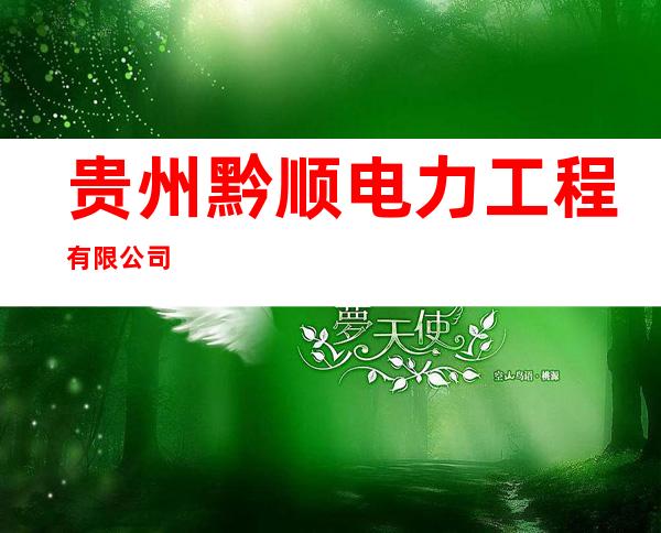 贵州黔顺电力工程有限公司