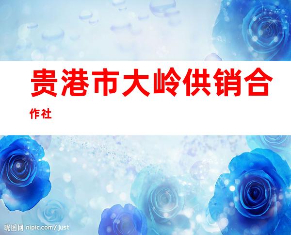 贵港市大岭供销合作社