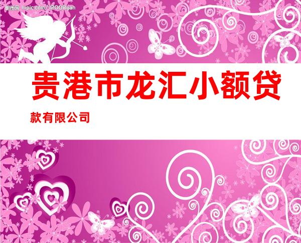 贵港市龙汇小额贷款有限公司