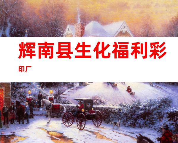 辉南县生化福利彩印厂