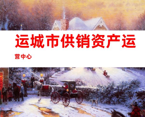 运城市供销资产运营中心