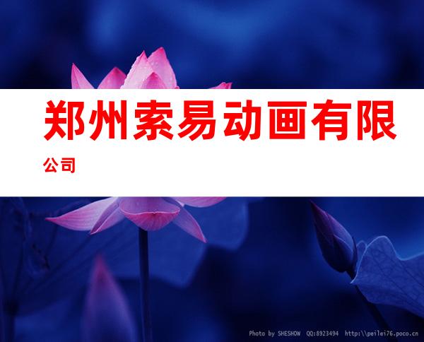 郑州索易动画有限公司