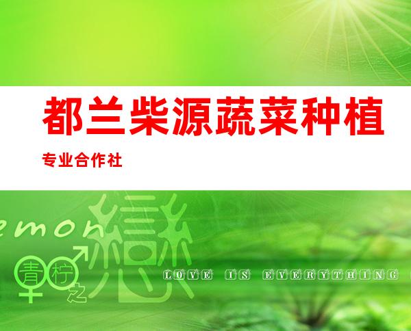 都兰柴源蔬菜种植专业合作社