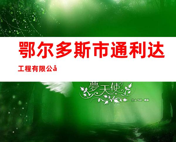 鄂尔多斯市通利达工程有限公司