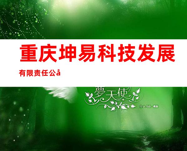 重庆坤易科技发展有限责任公司
