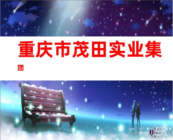 重庆市茂田实业集团