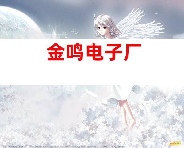 金鸣电子厂