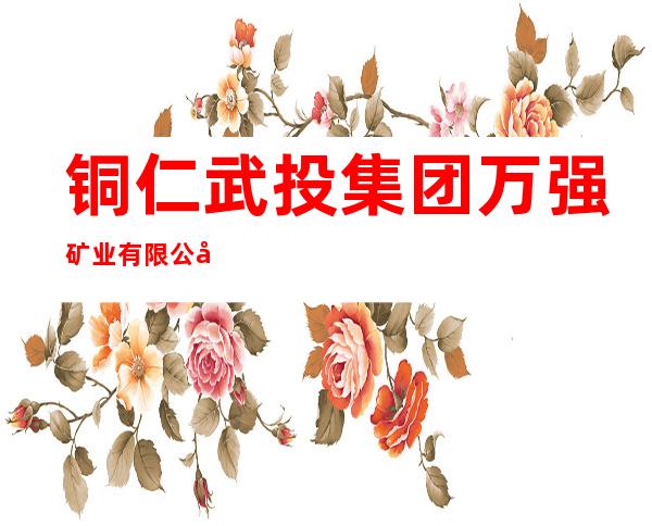 铜仁武投集团万强矿业有限公司