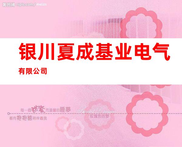 银川夏成基业电气有限公司