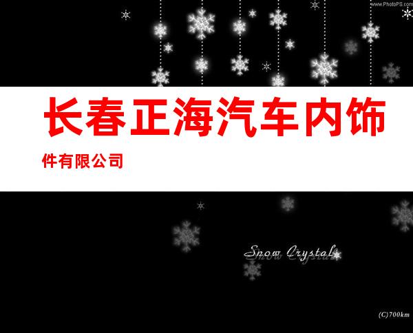 长春正海汽车内饰件有限公司