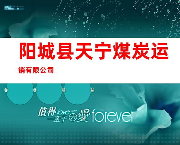 阳城县天宁煤炭运销有限公司