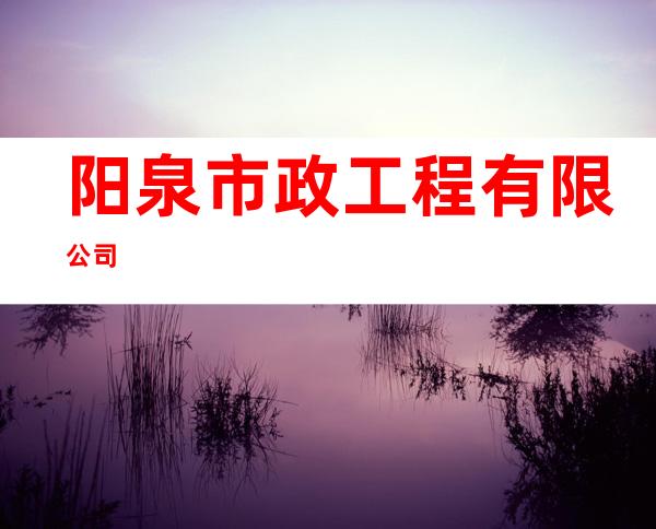 阳泉市政工程有限公司