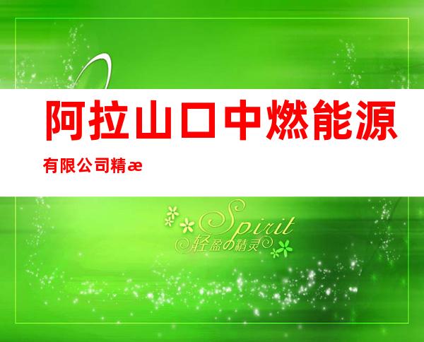 阿拉山口中燃能源有限公司精河分公司