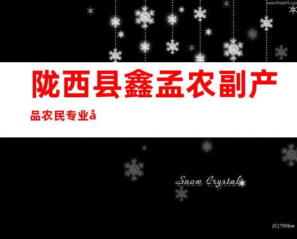 陇西县鑫孟农副产品农民专业合作社