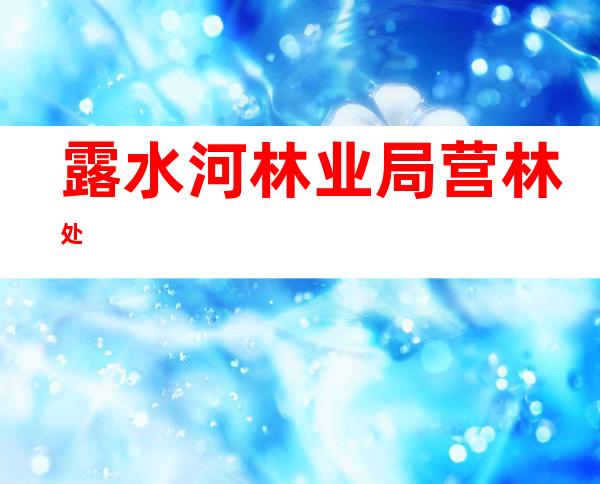露水河林业局营林处
