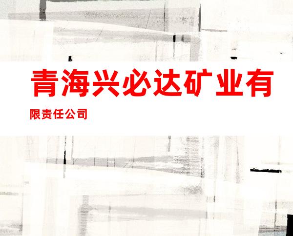 青海兴必达矿业有限责任公司
