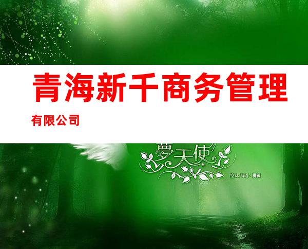 青海新千商务管理有限公司